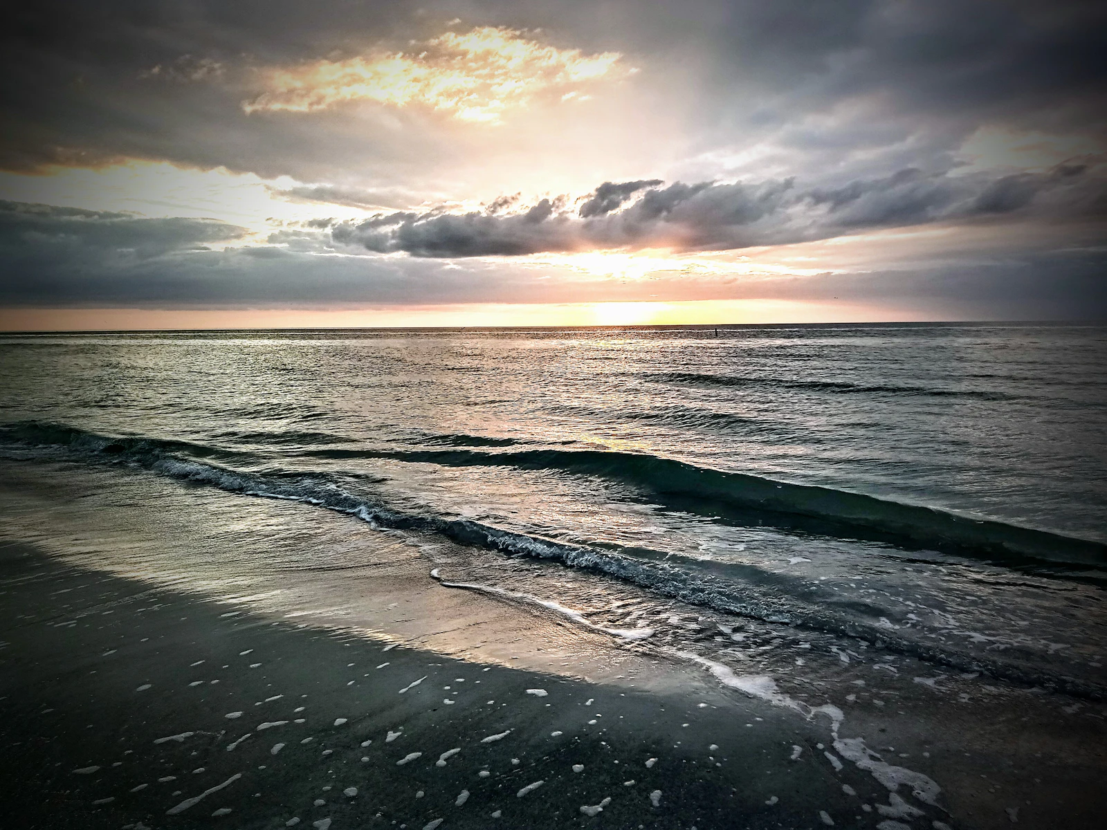 The Ritz-Carlton, Sarasota
