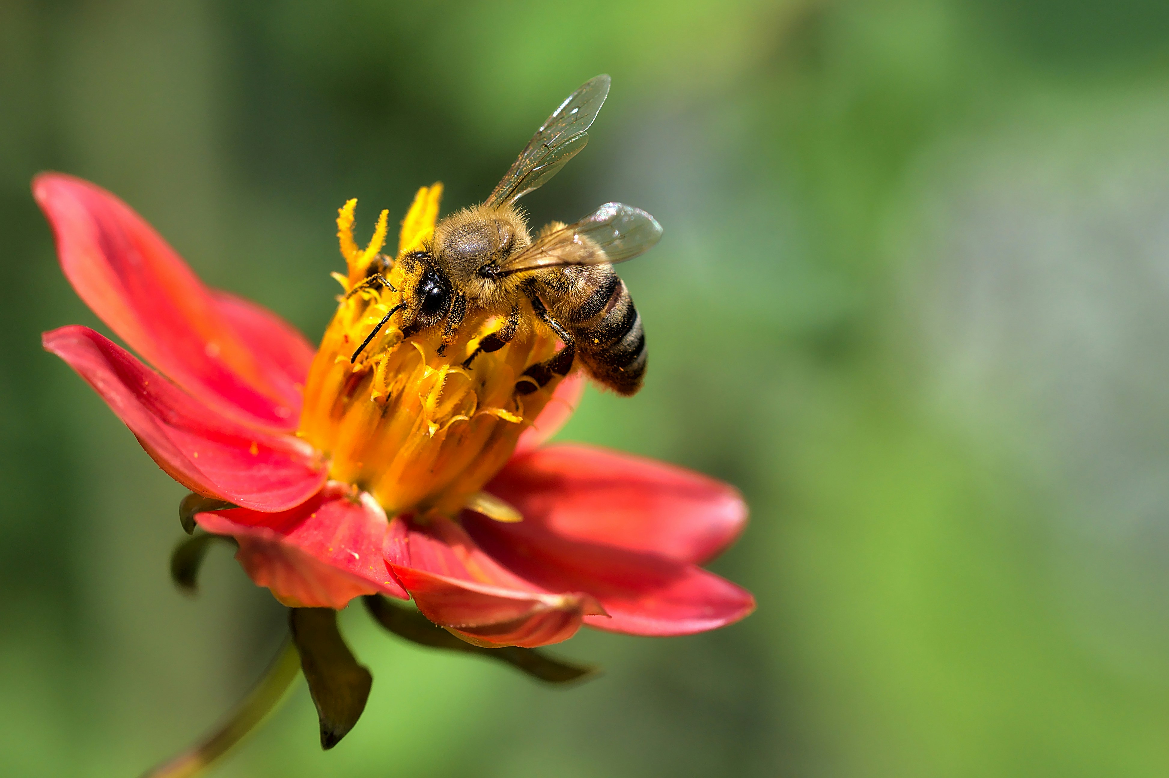 Photo by germanjaber