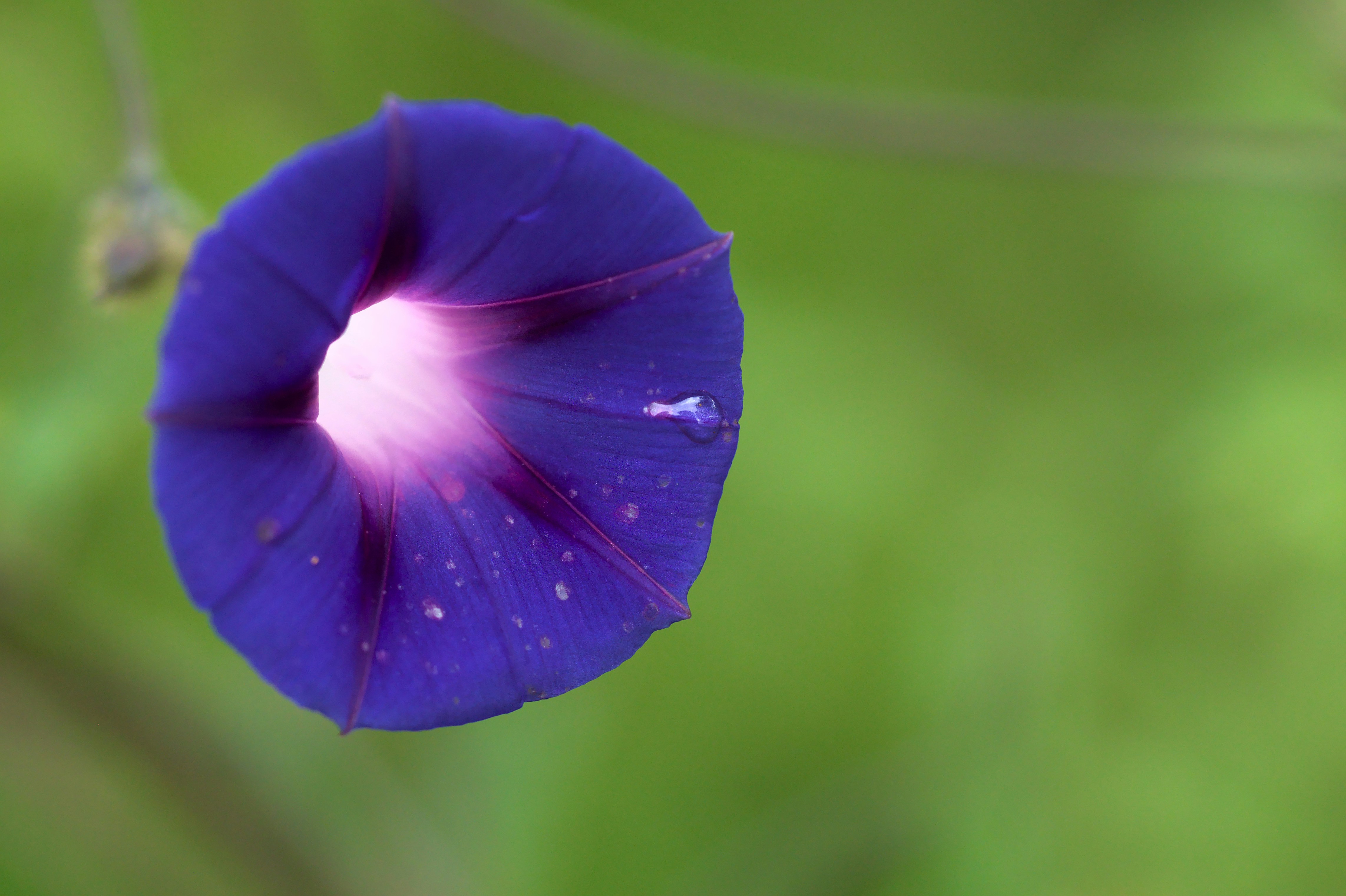 Photo by germanjaber