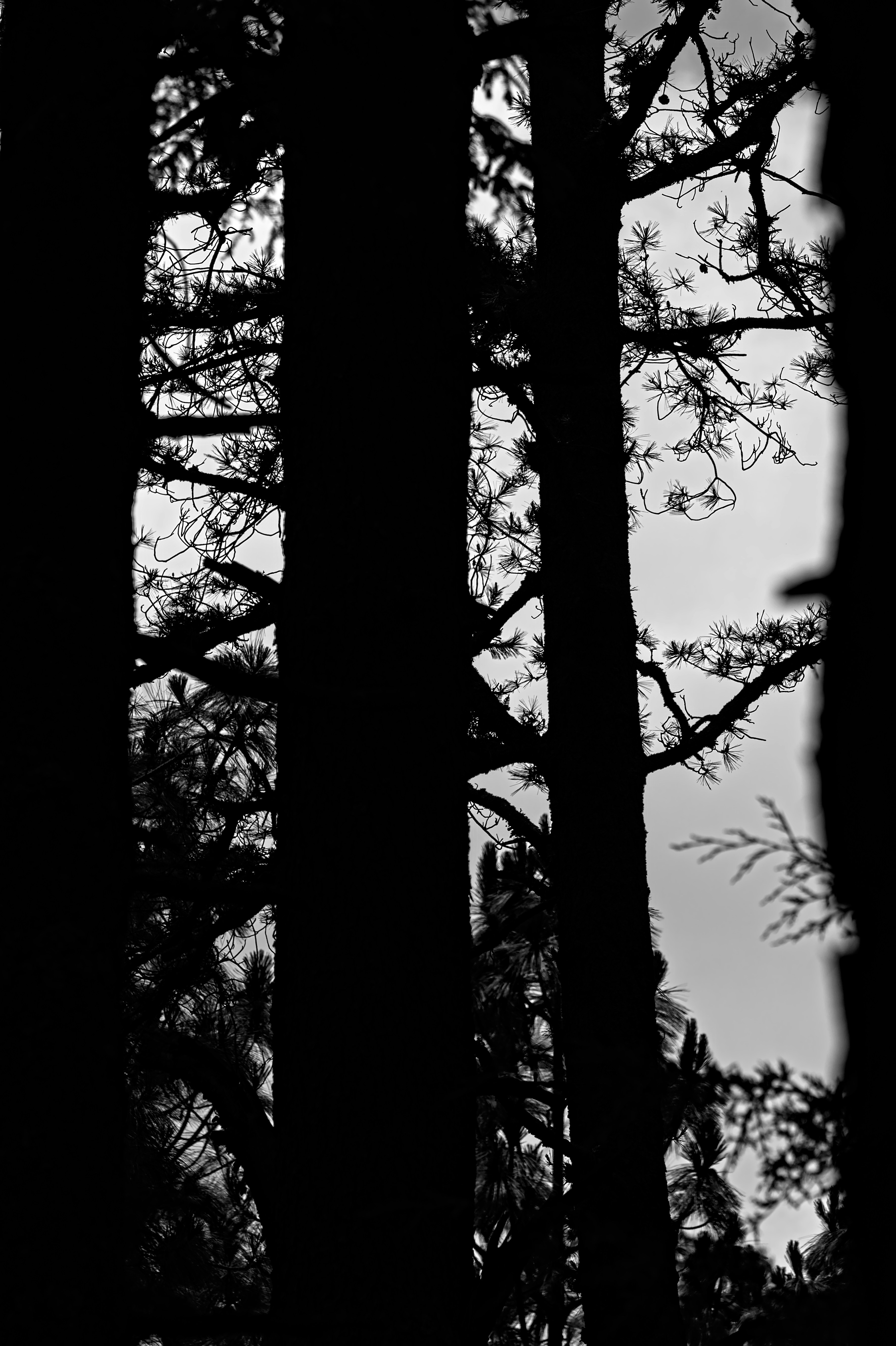 Photo by germanjaber