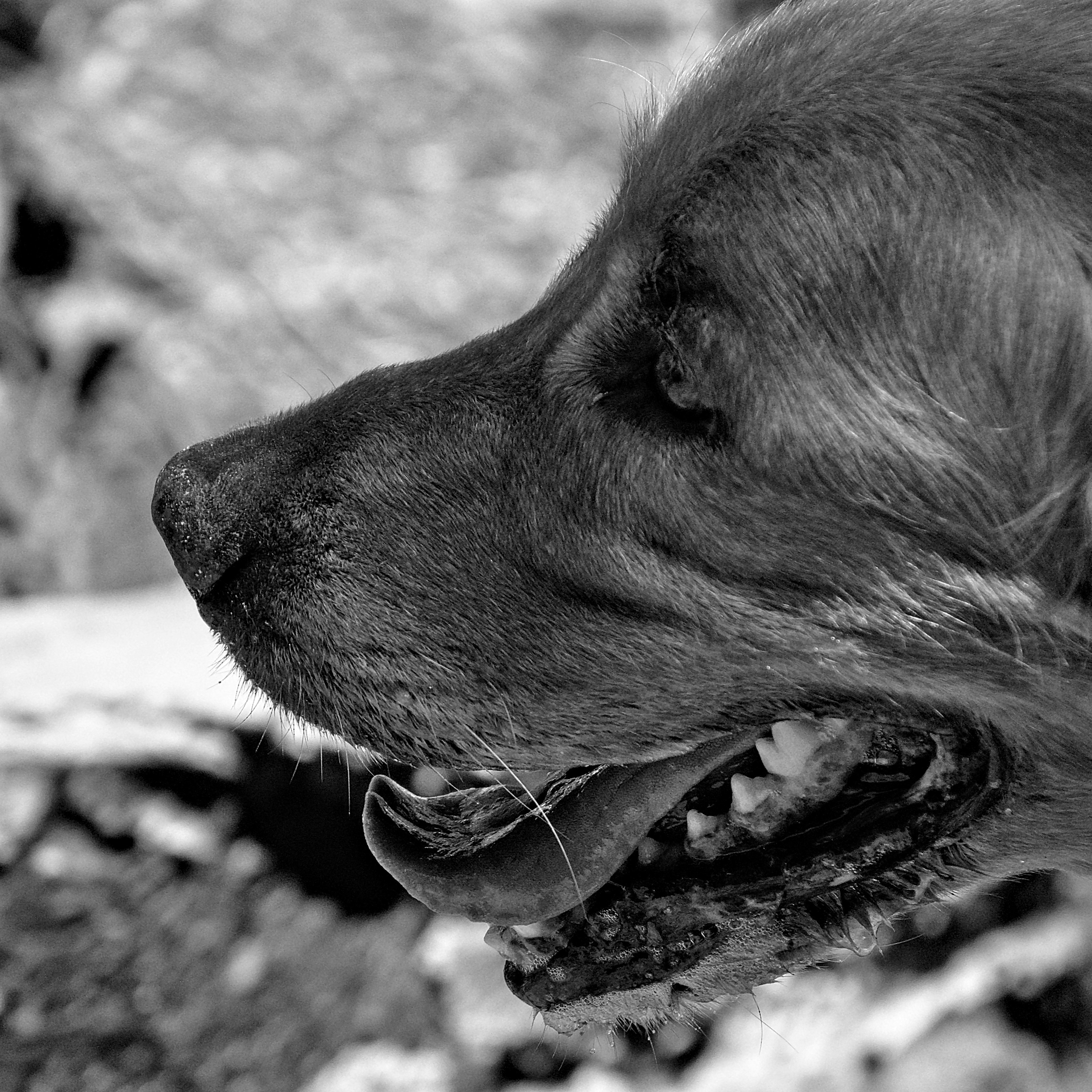 Photo by germanjaber