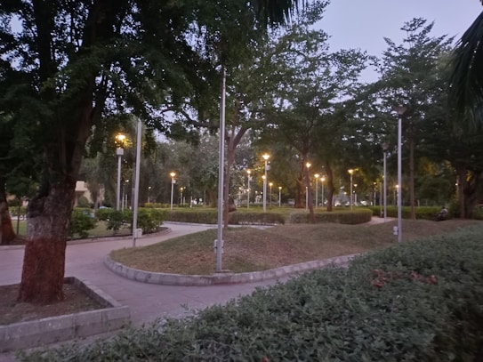 A peaceful park scene featuring paved walkways wandering through a lush garden with neatly trimmed hedges and tall trees. Numerous street lamps emit a warm glow, illuminating the area as evening approaches. The surroundings suggest a serene atmosphere, ideal for a leisurely walk.