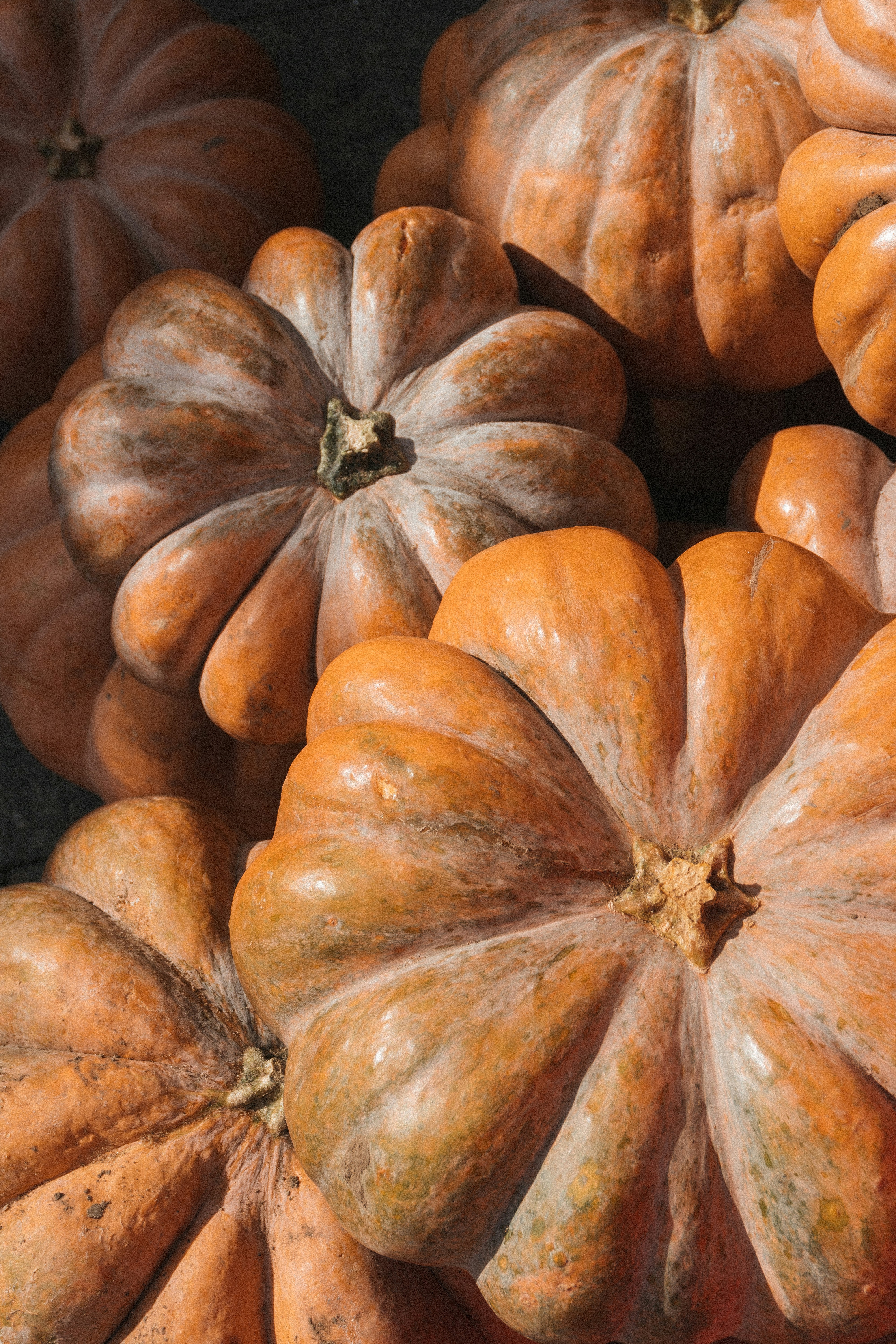 Photo by ulitretynychenko