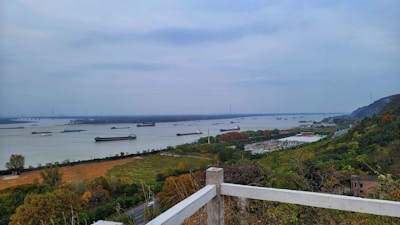 A wide river view with numerous cargo ships and barges floating along its surface. The foreground features a railing and lush greenery with fields and trees, transitioning to industrial and residential areas along the riverbank, blending into distant hills and a bridge in the background under an overcast sky.