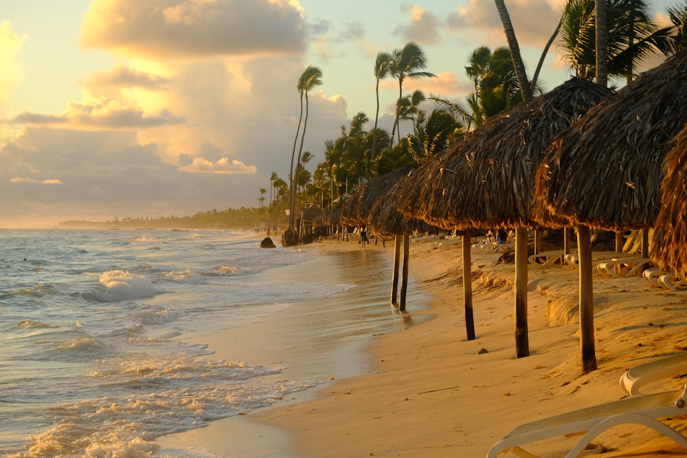 a beach with palm trees and chairs on it