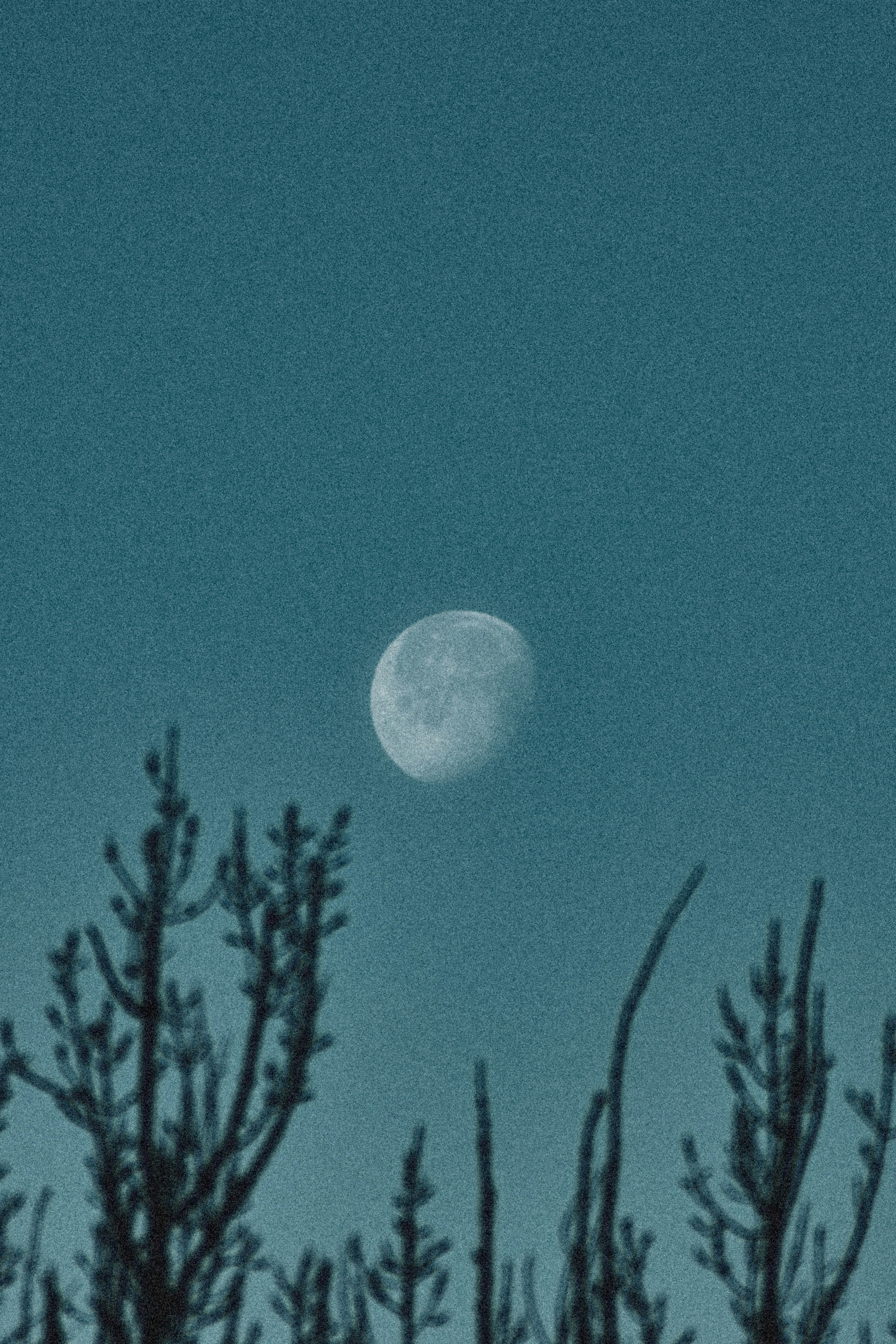 Photo by artem_makarov