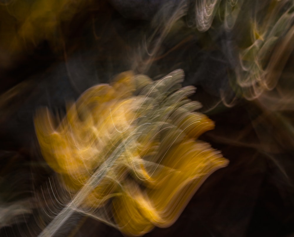 a blurry photograph of a yellow flower