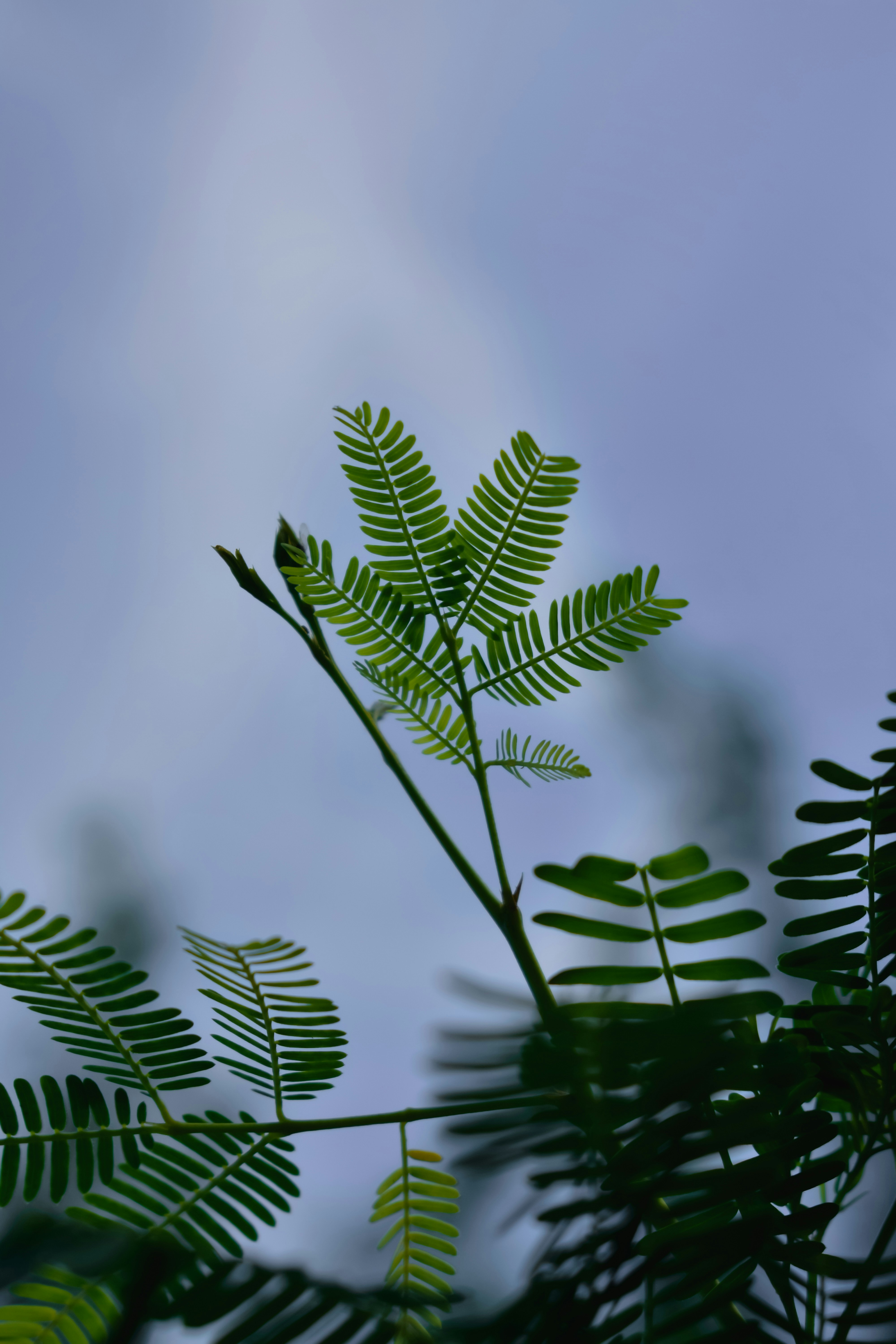 Photo by atomsmasher