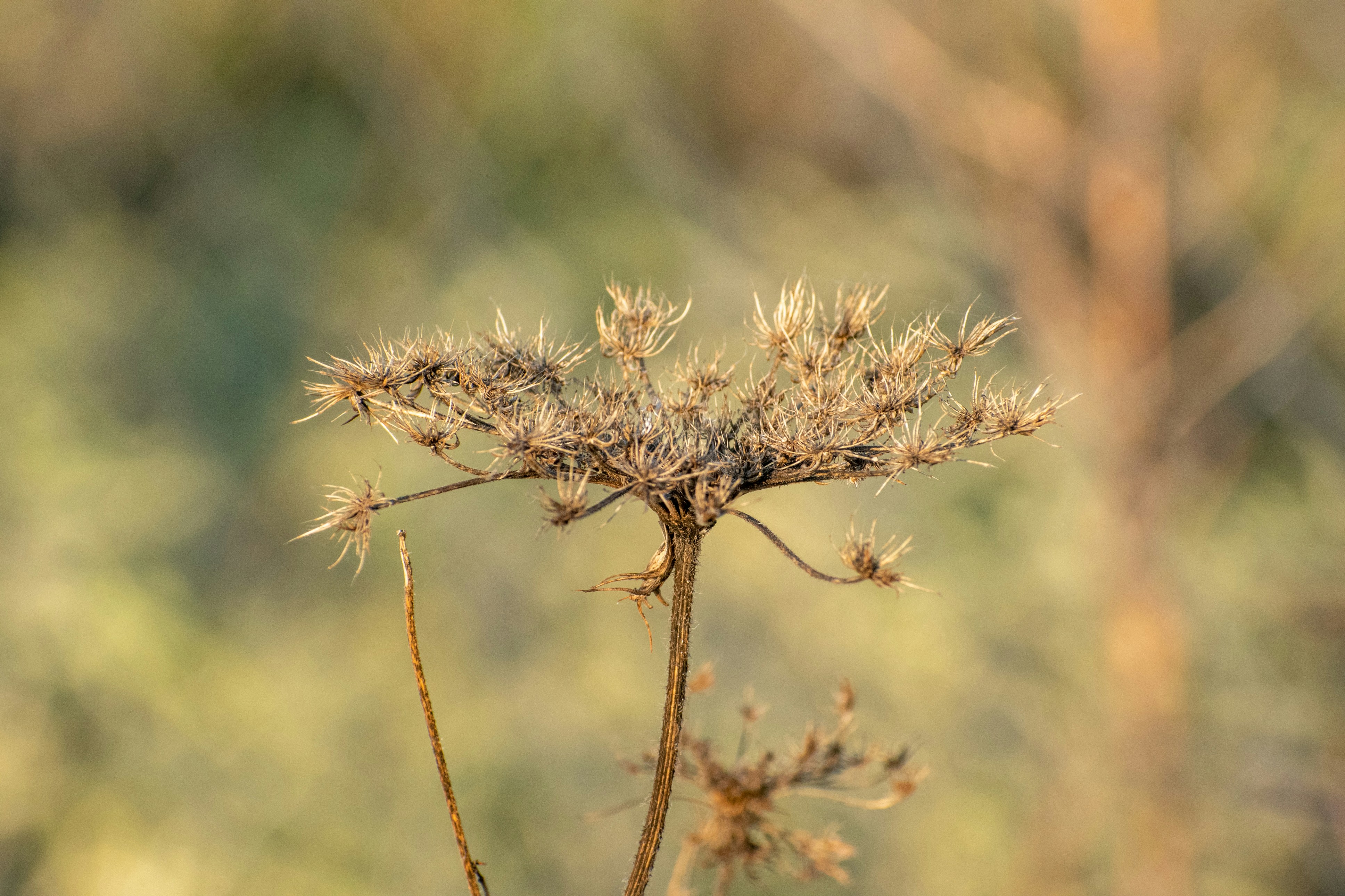 Photo by stelios_tsaousidis