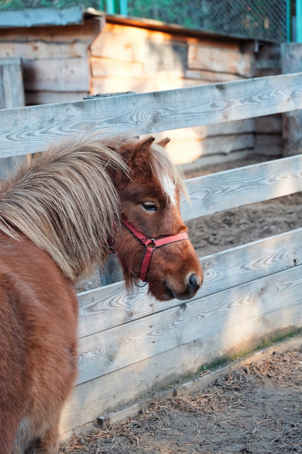 a brown and white horse standing next to a wooden fence