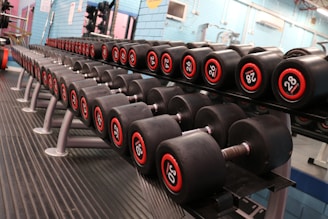 A row of neatly organized dumbbells with visible weight labels on a rack, set in a gym environment. The flooring and walls feature a mix of colors, and exercise machines are visible in the background.