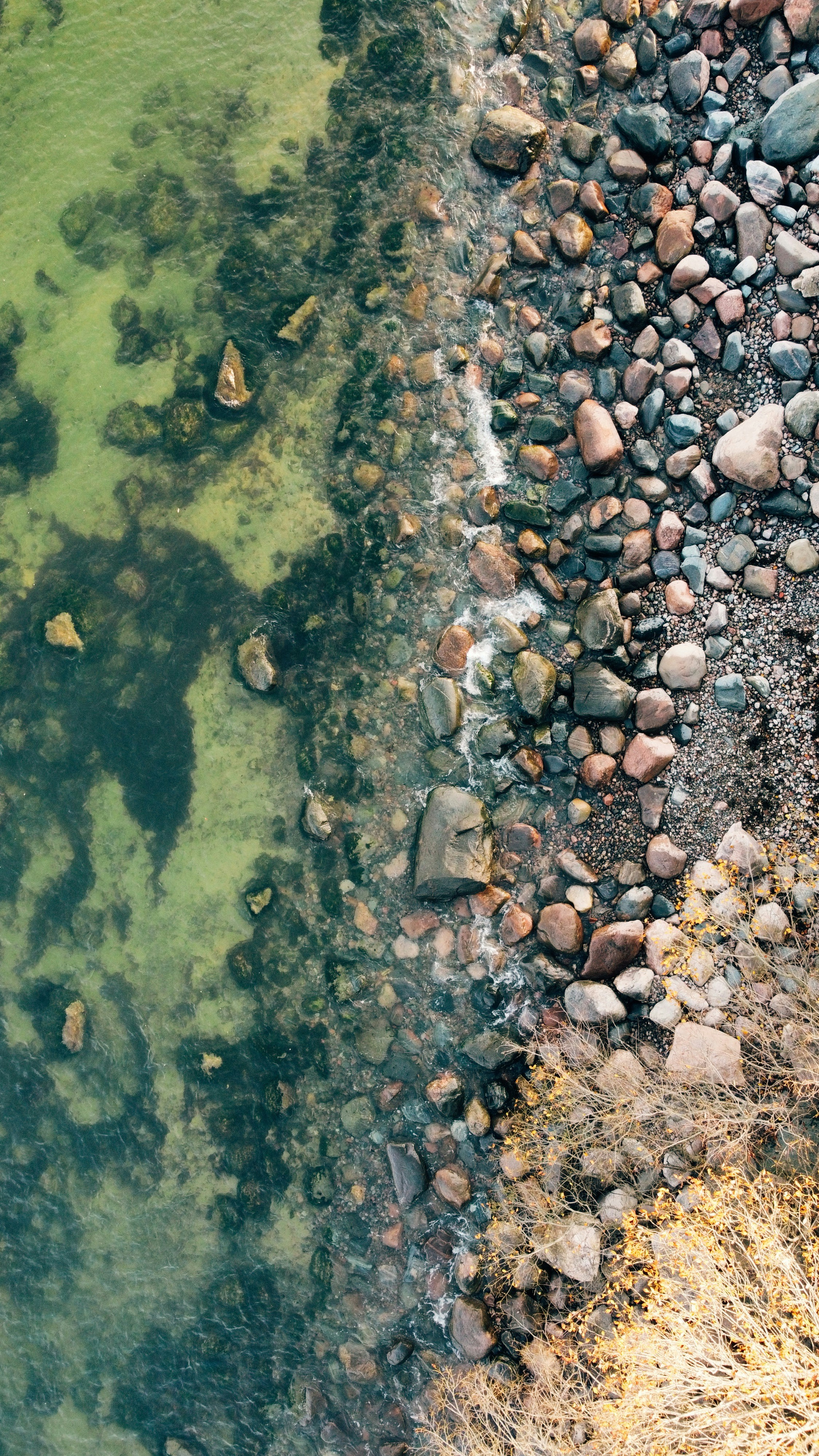 Photo by matheusfrade