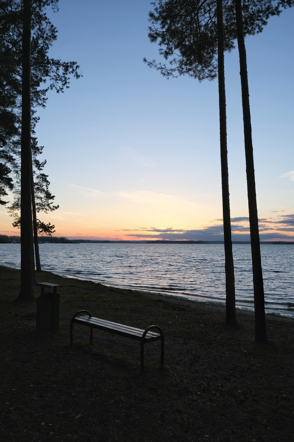 a bench sitting next to a body of water