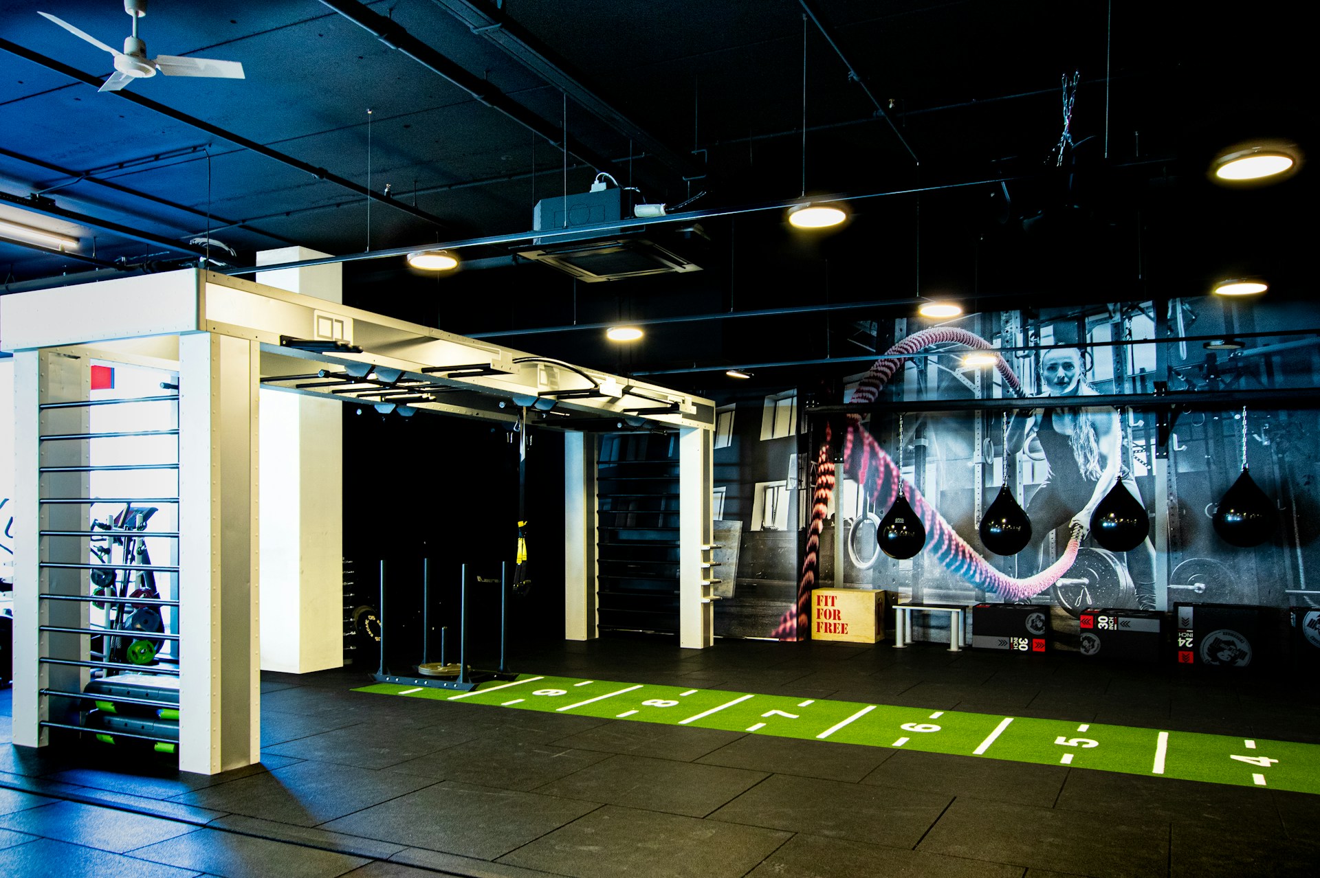 an indoor gym with a green and white rug