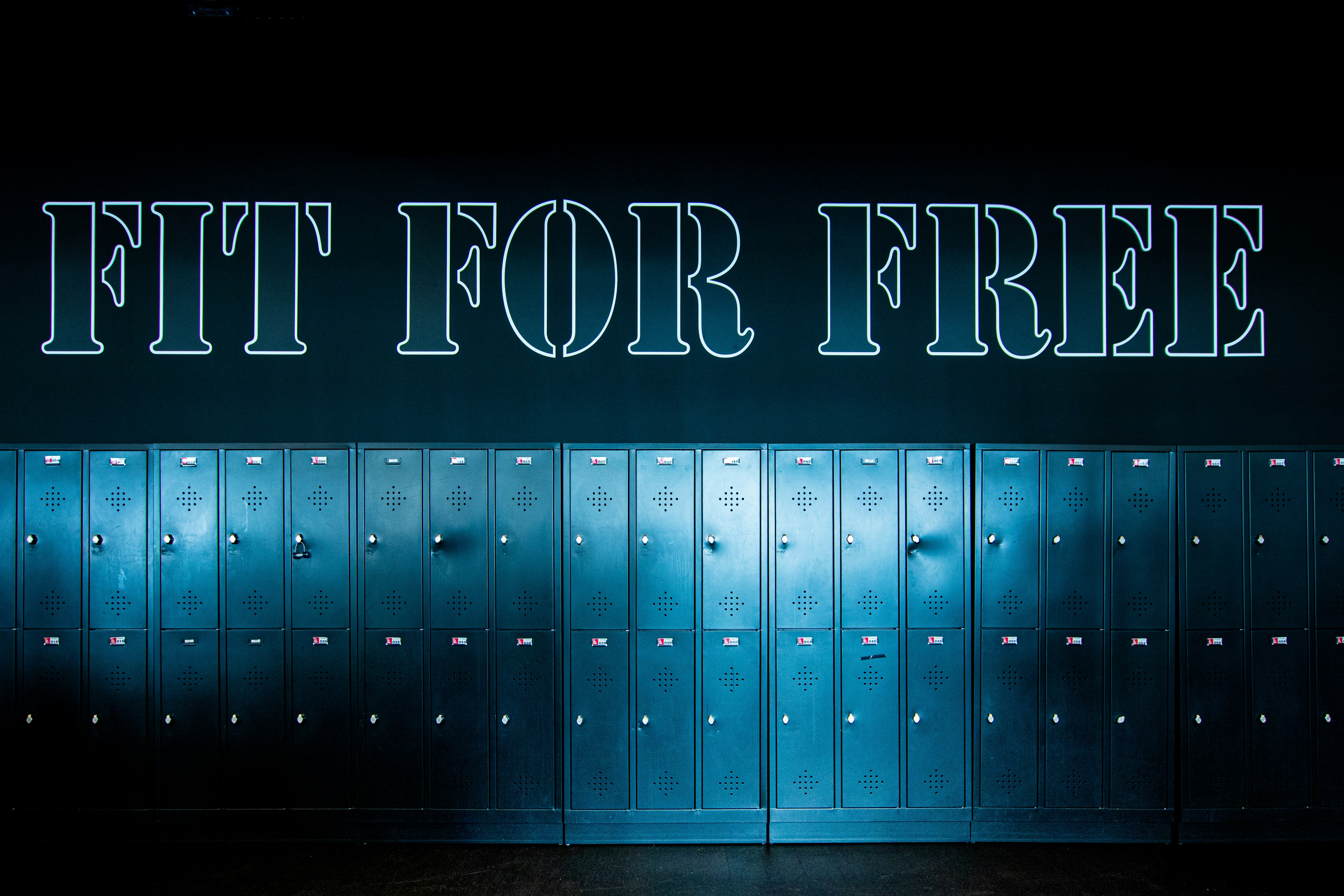 Are there any free backup plugins for WordPress? 7 Proven Picks