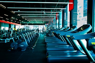 a row of exercise machines in a gym