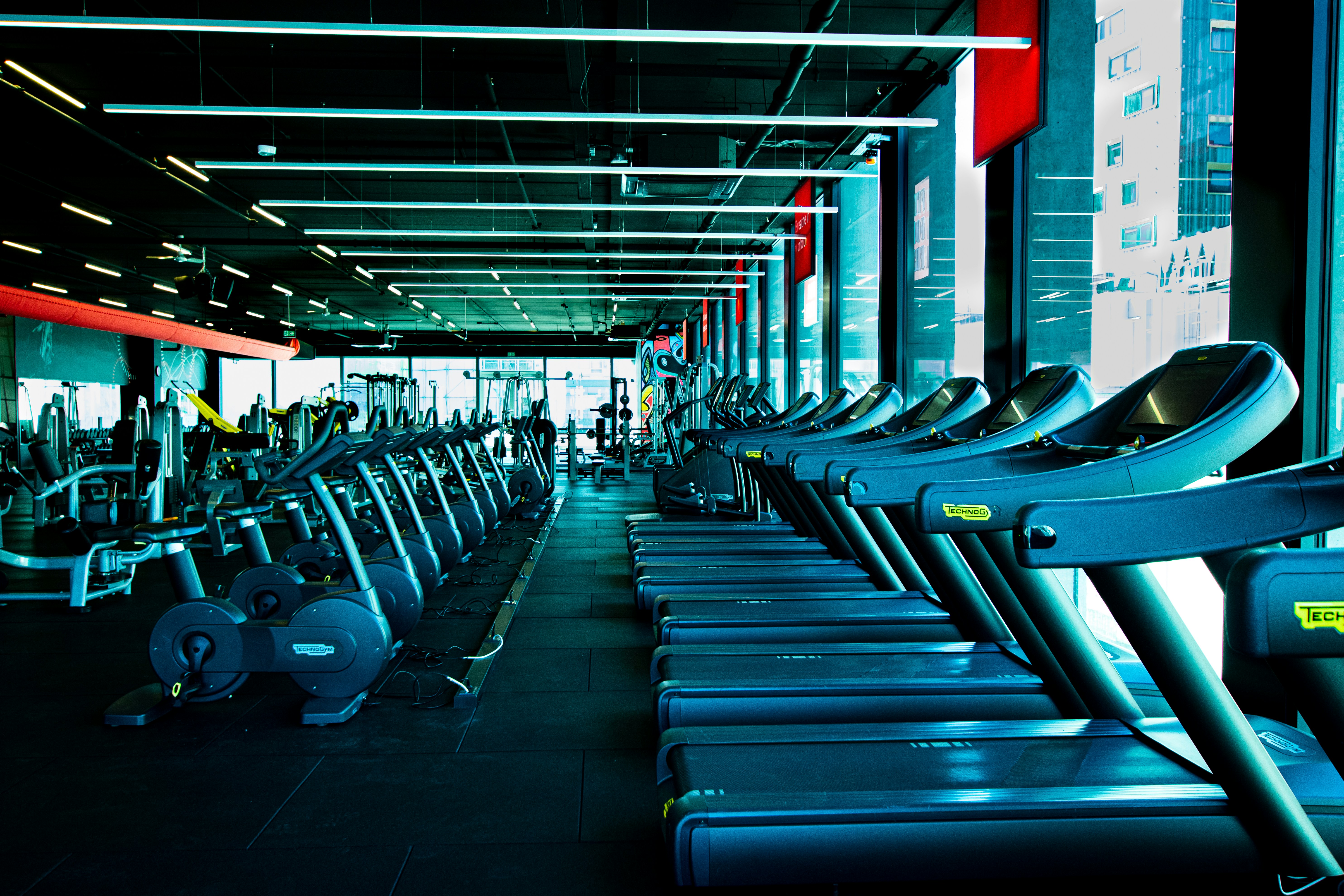 The Sacred Geometry of the Gym: Ancient Laws Nobody Taught You But Everyone Obeys