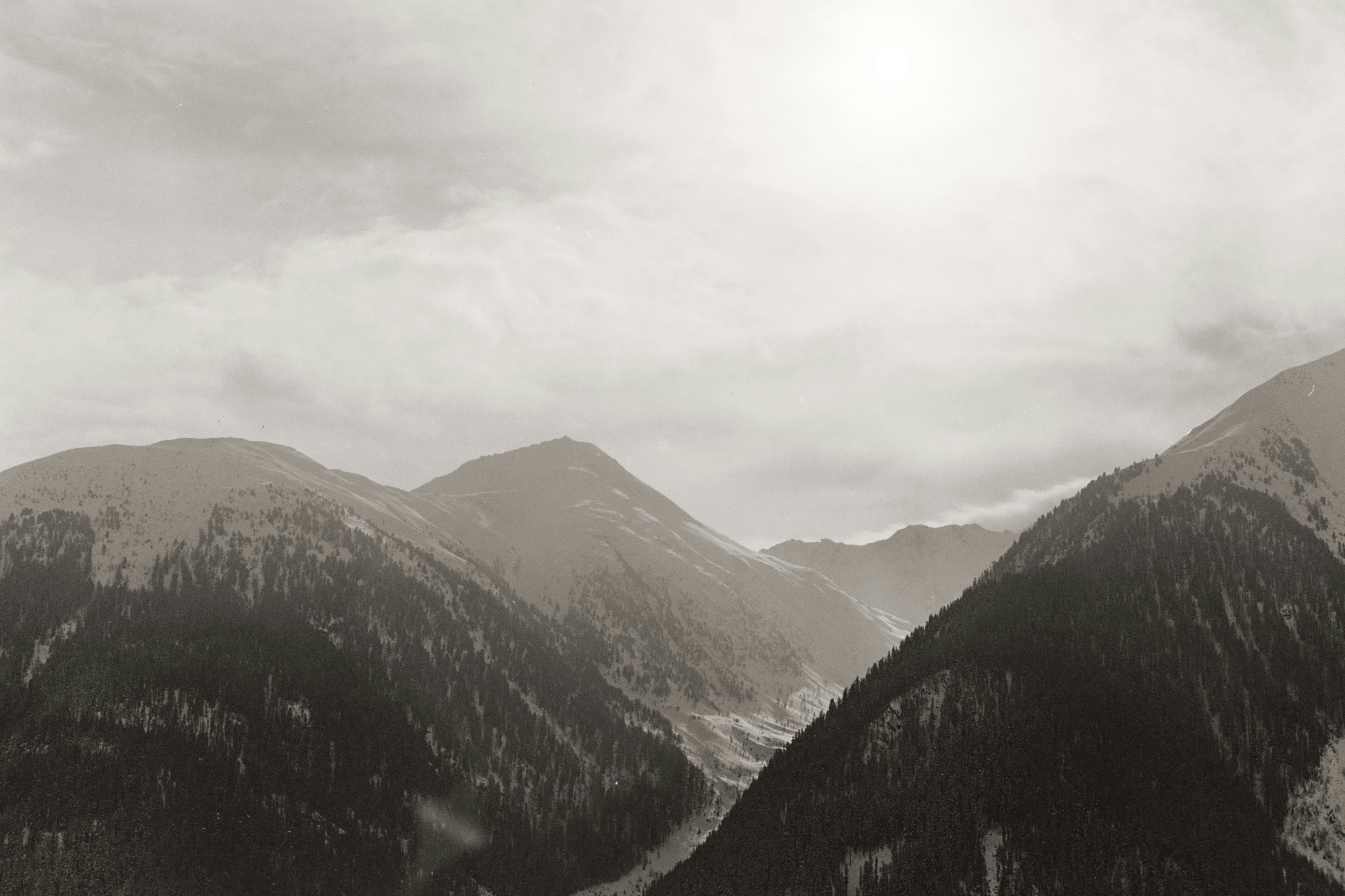 Photo by laurenceziegler