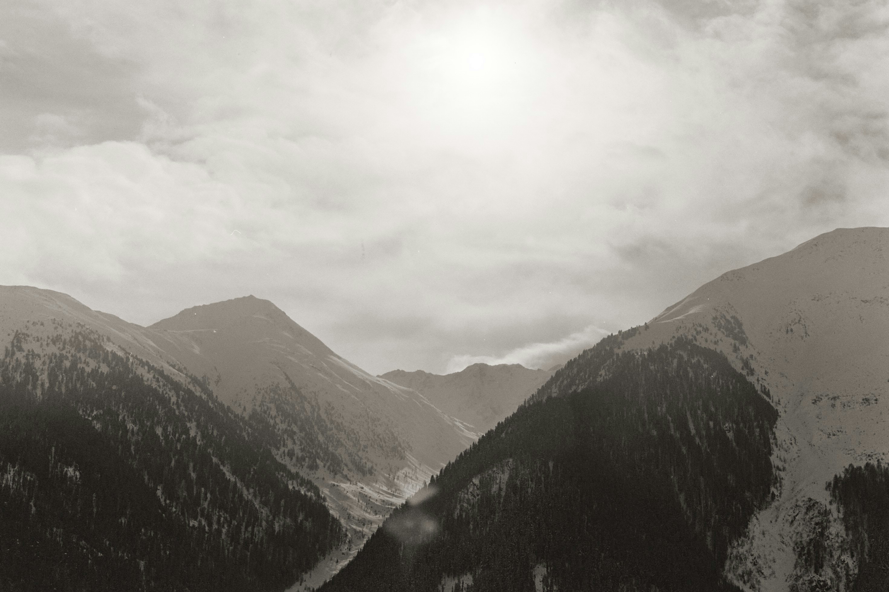 Photo by laurenceziegler