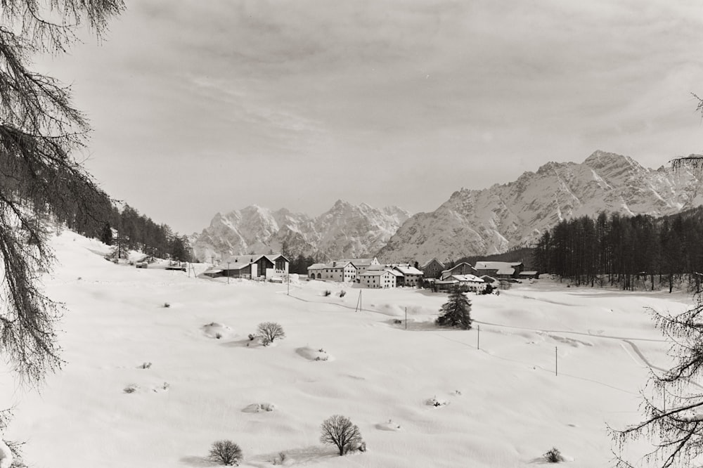 Ein Schwarz-Weiß-Foto einer verschneiten Landschaft