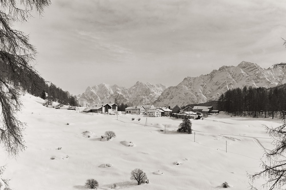 a black and white photo of a snowy landscape