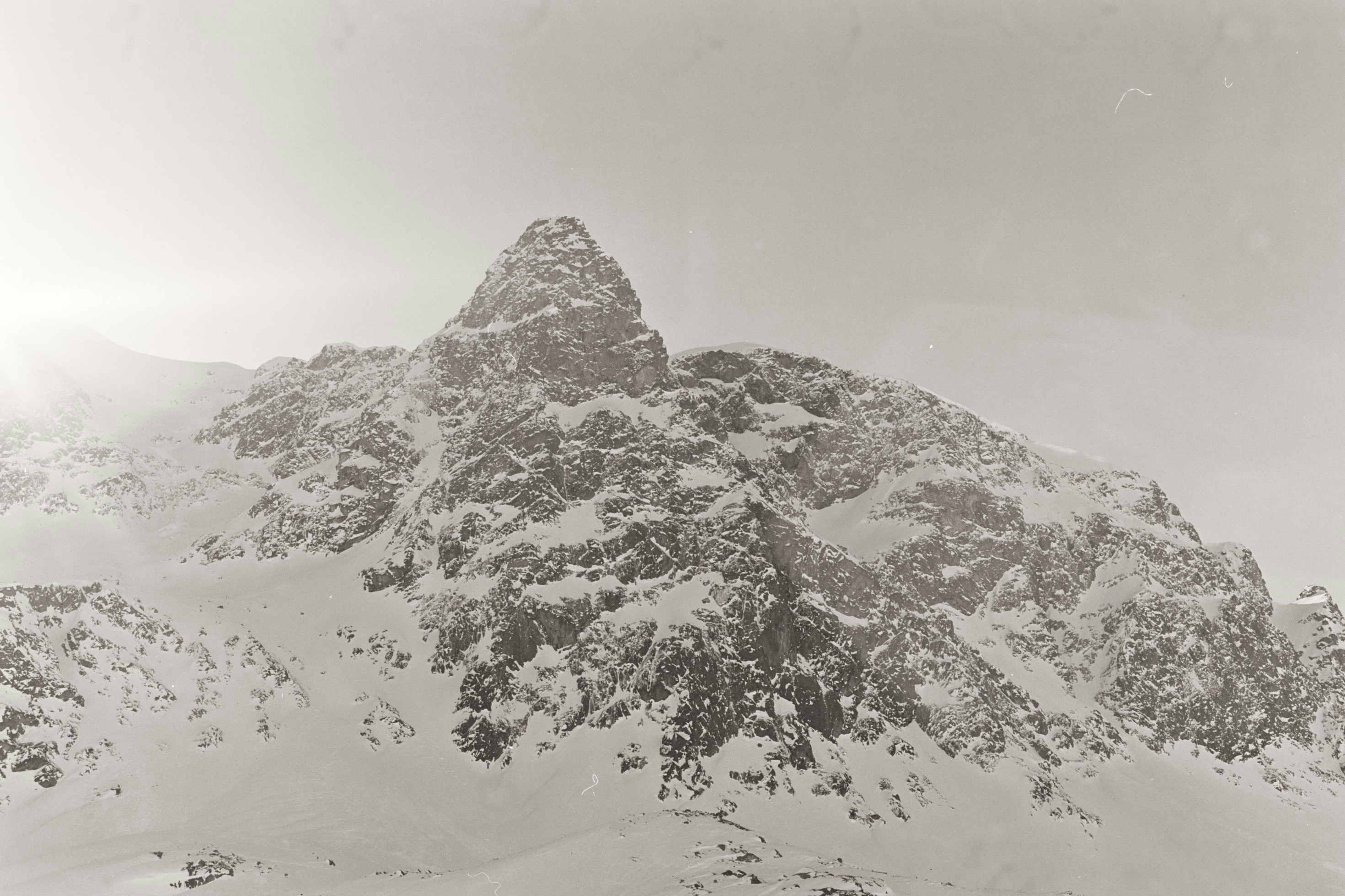 Photo by laurenceziegler