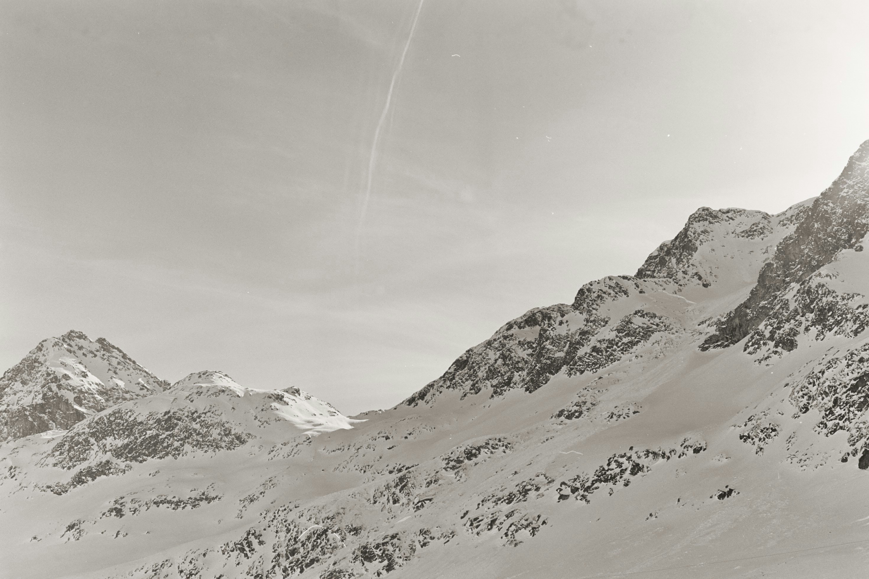 Photo by laurenceziegler