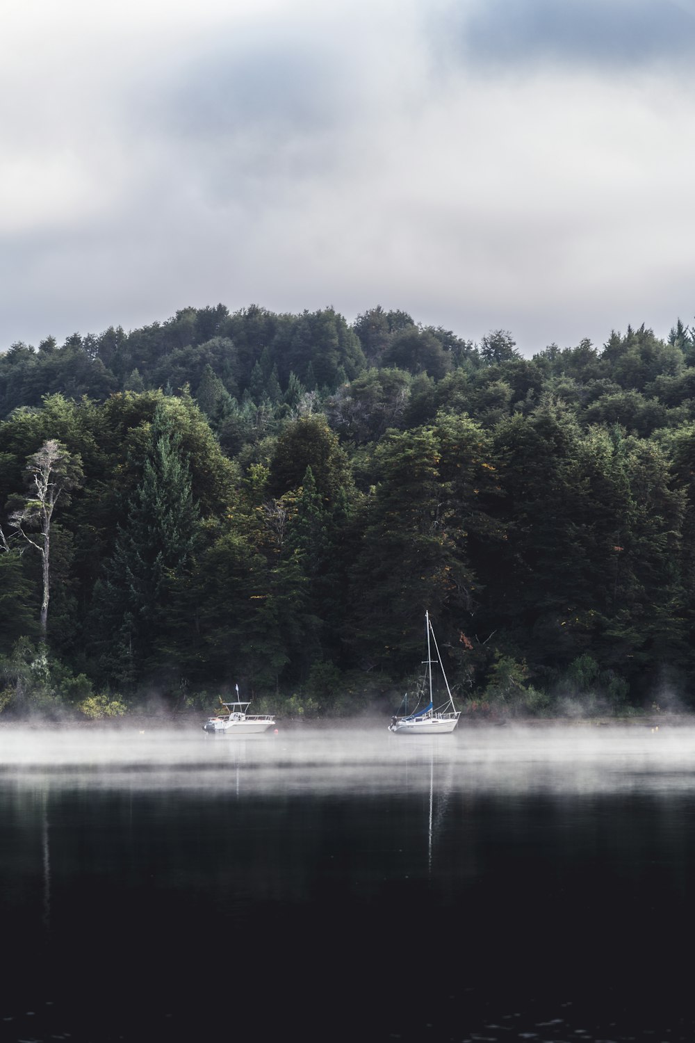 Due barche che galleggiano su un lago vicino a una foresta