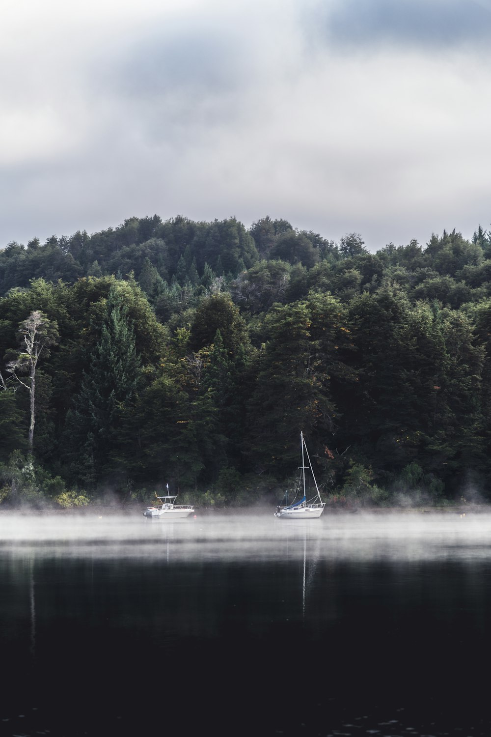 two boats floating on a lake near a forest