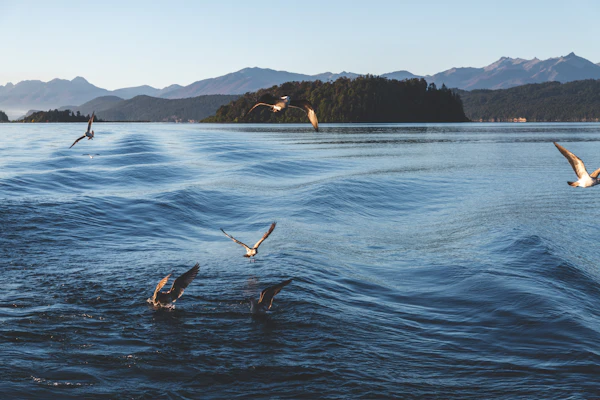 Bariloche Lake District