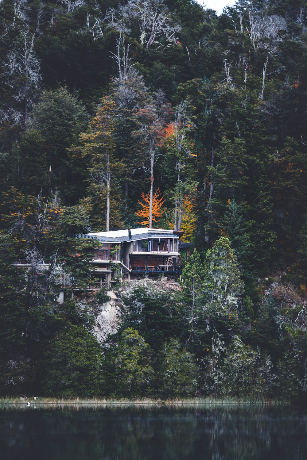 a house sitting on top of a lush green hillside