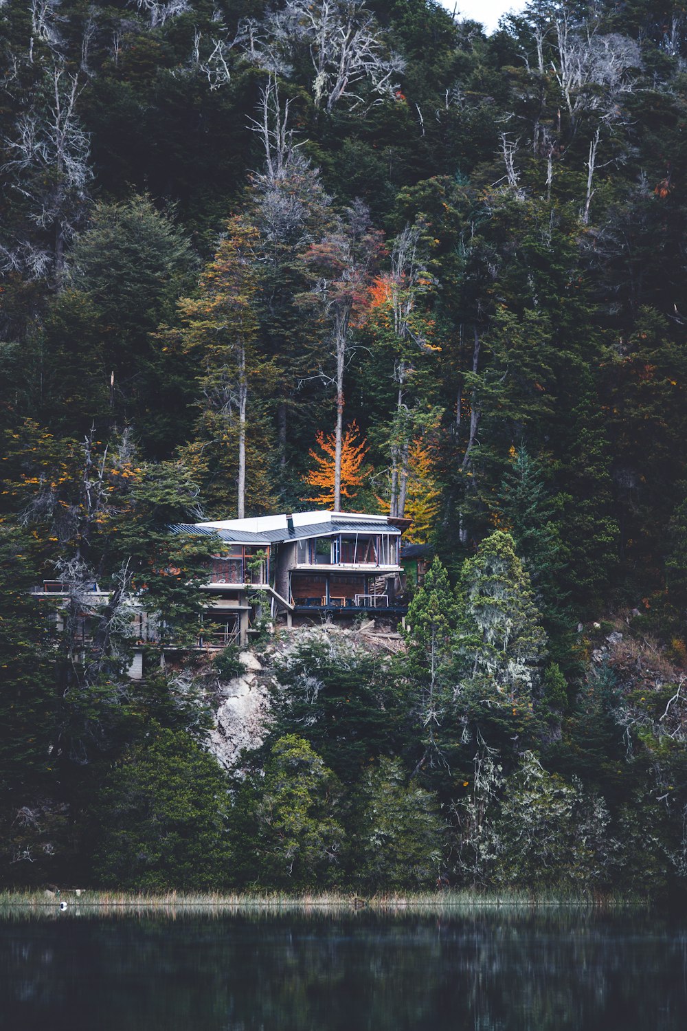 무성한 녹색 언덕 위에 앉아있는 집