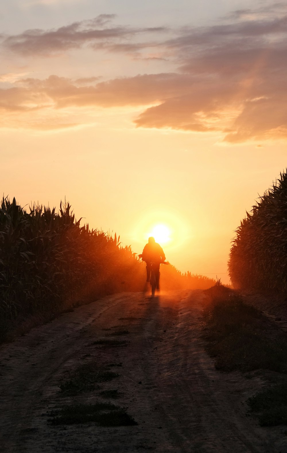 a person walking down a dirt road at sunset
