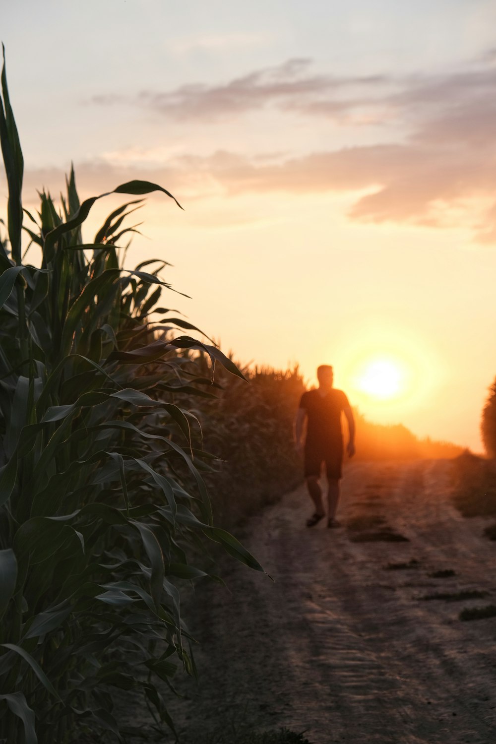 a man walking down a dirt road at sunset