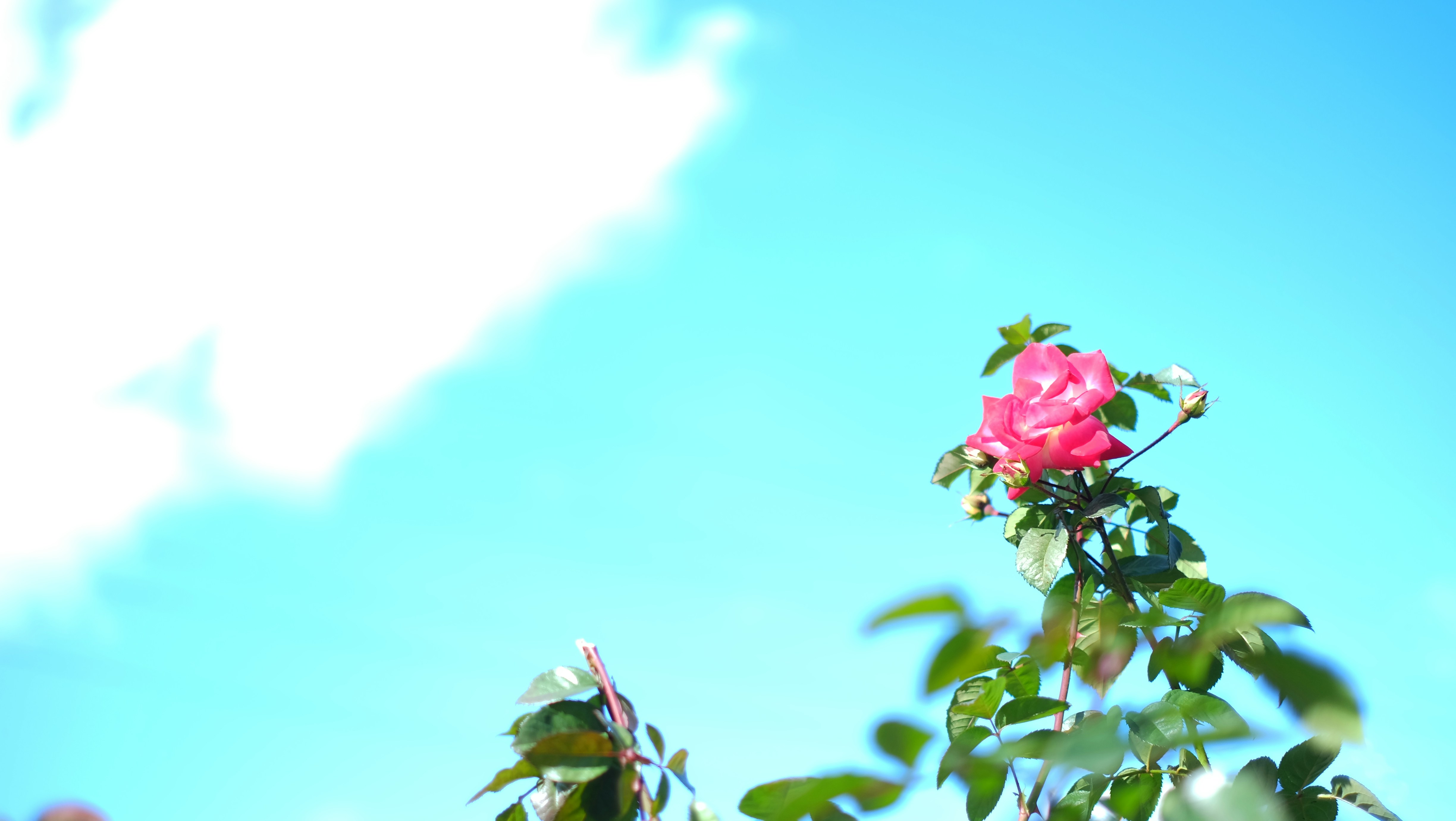 Photo by kiyomishiomura