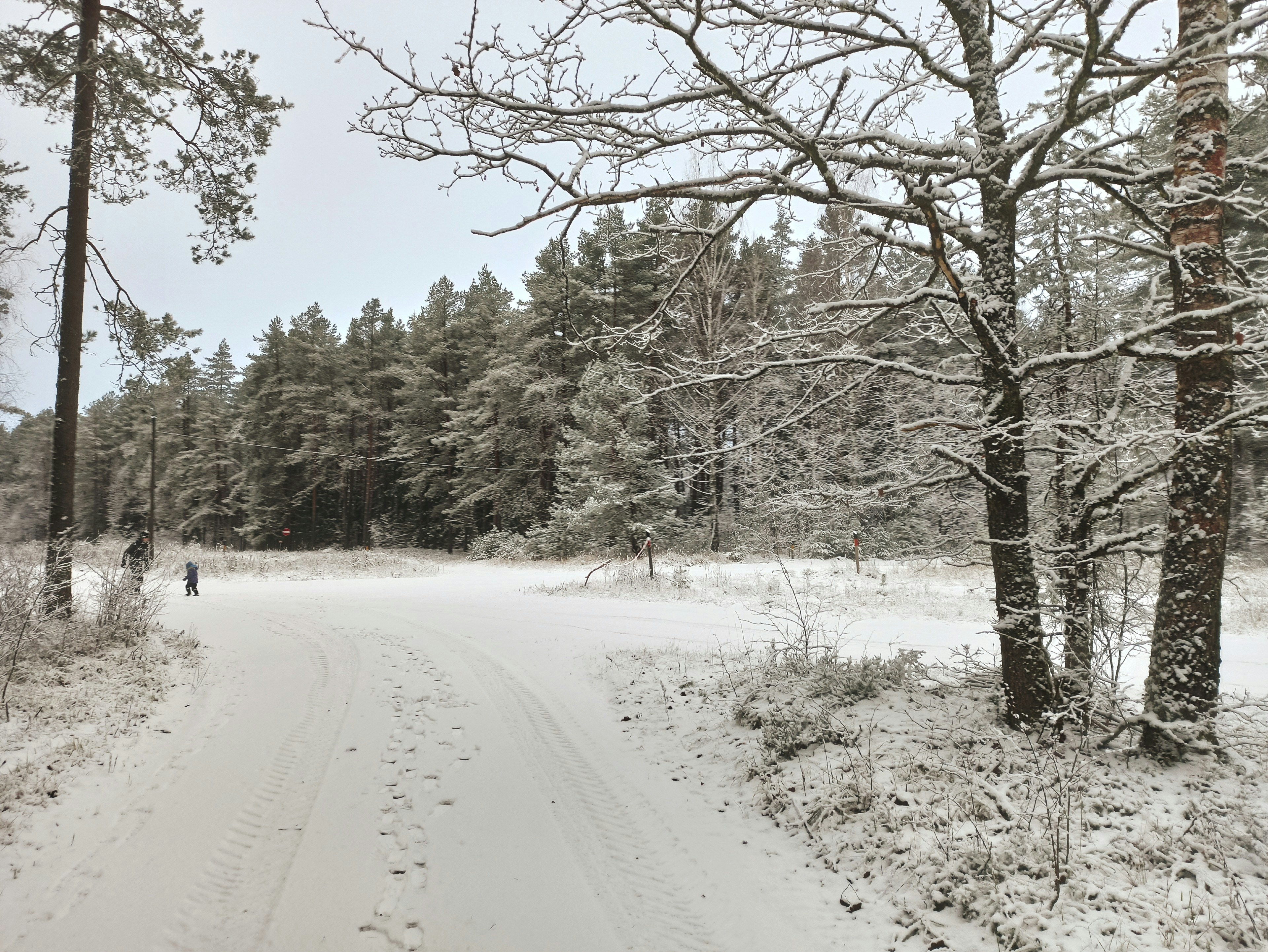 VÁNOČNÍ "DÁREK" V BRUSNÉM: O VAŠICH POZEMCÍCH SE ROZHODNE O SVÁTCÍCH. JSTE PŘIPRAVENI?