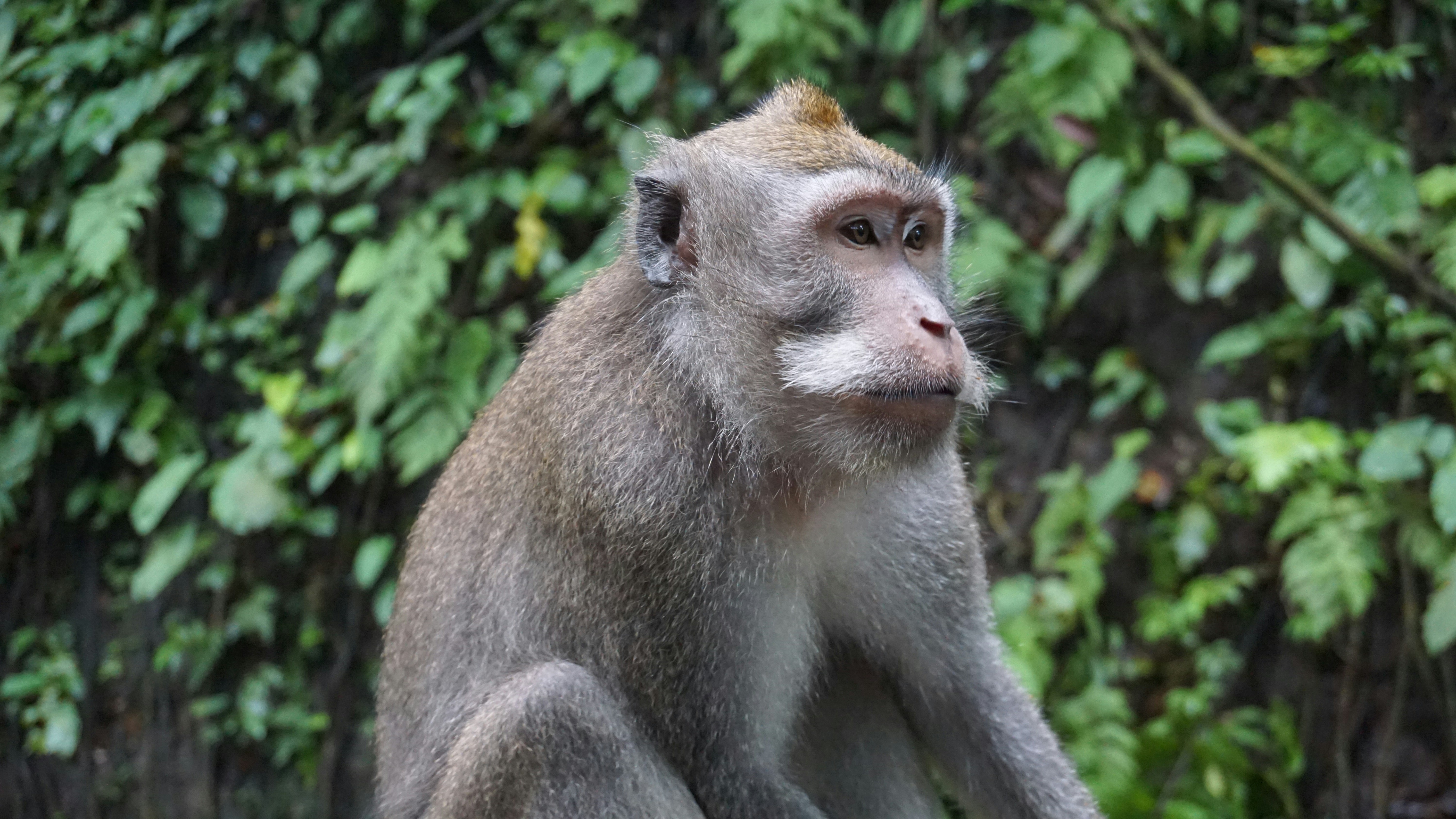 Photo by lifeandloveradio