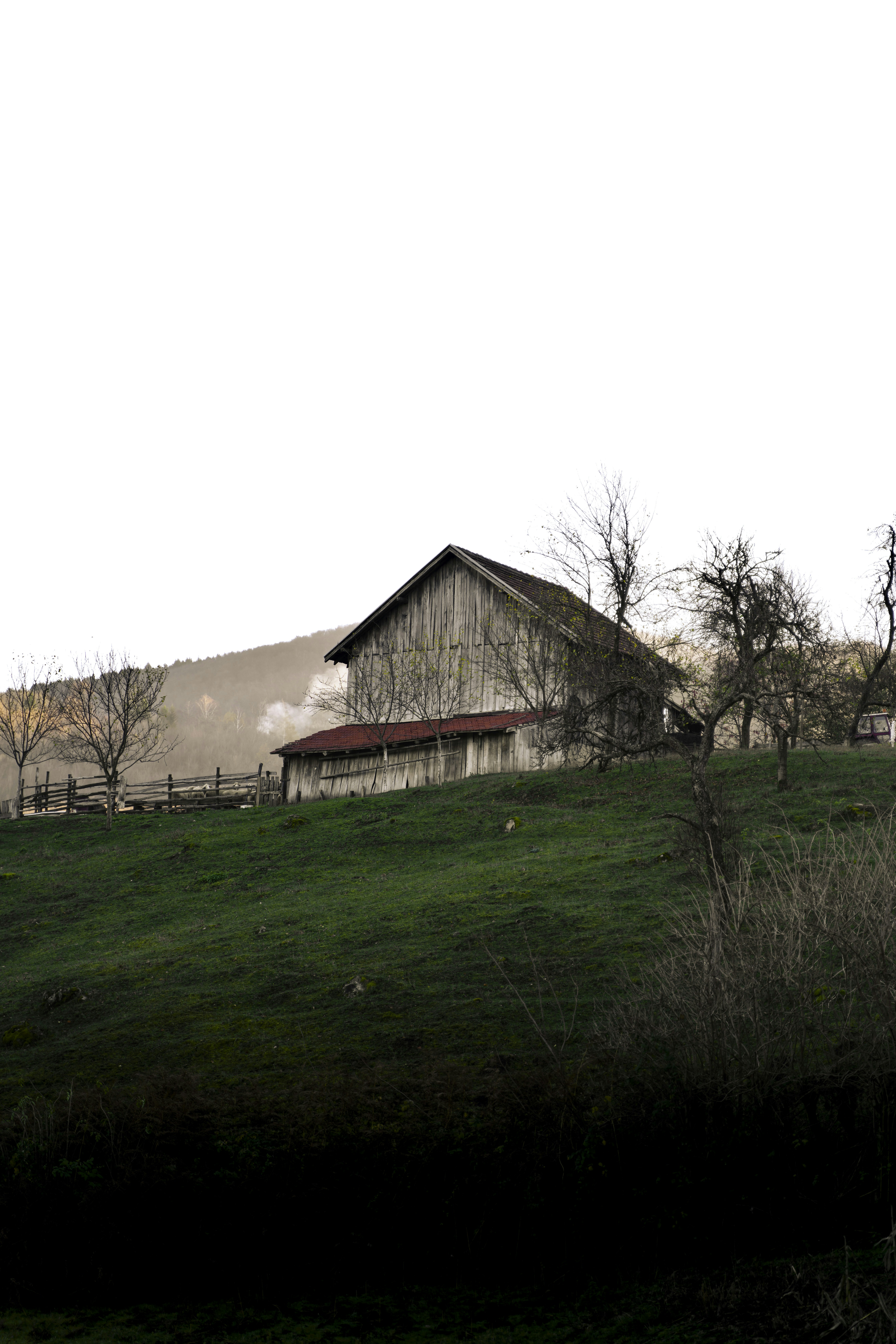Photo by djordjevukojicic