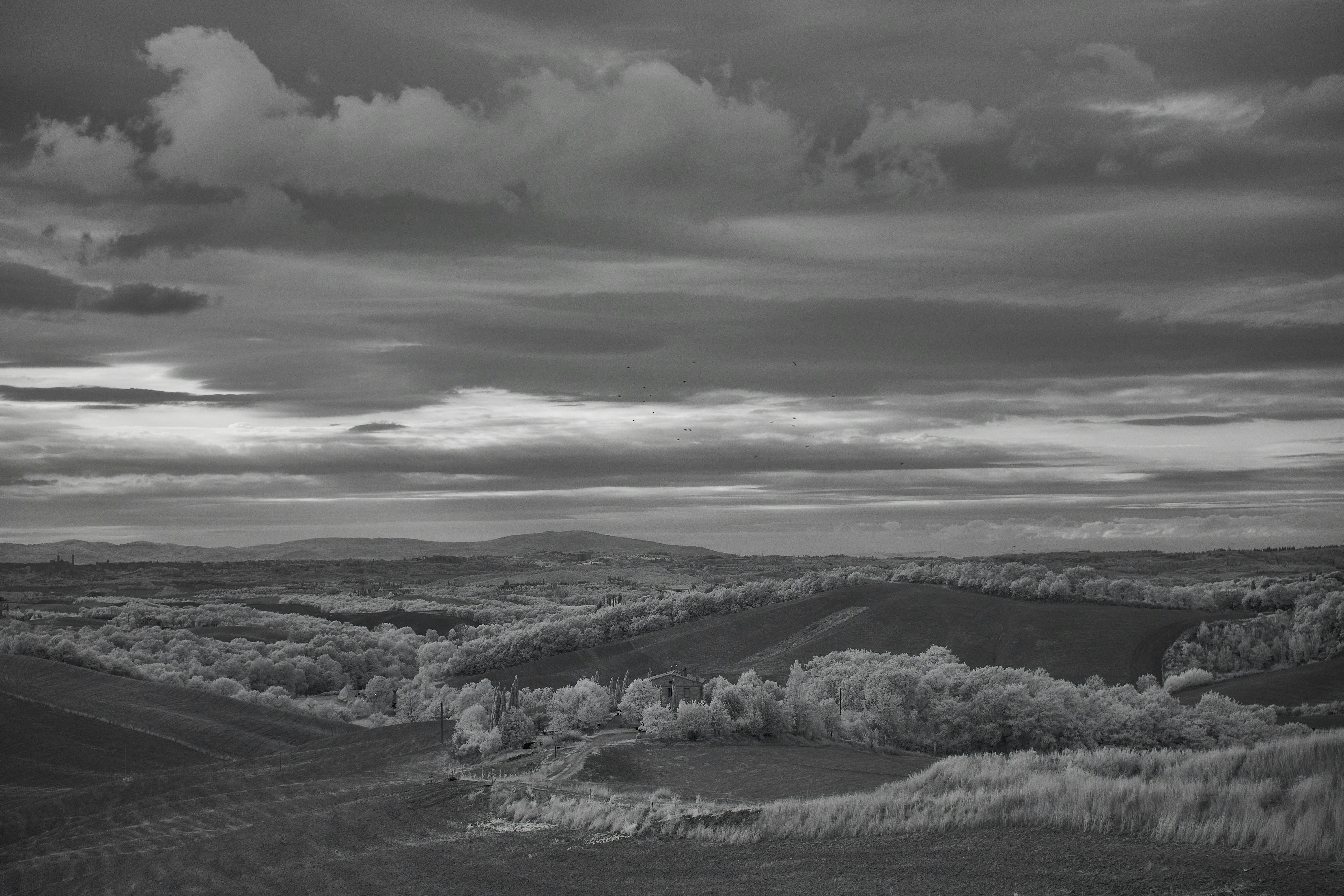 Photo by wolfgang_hasselmann