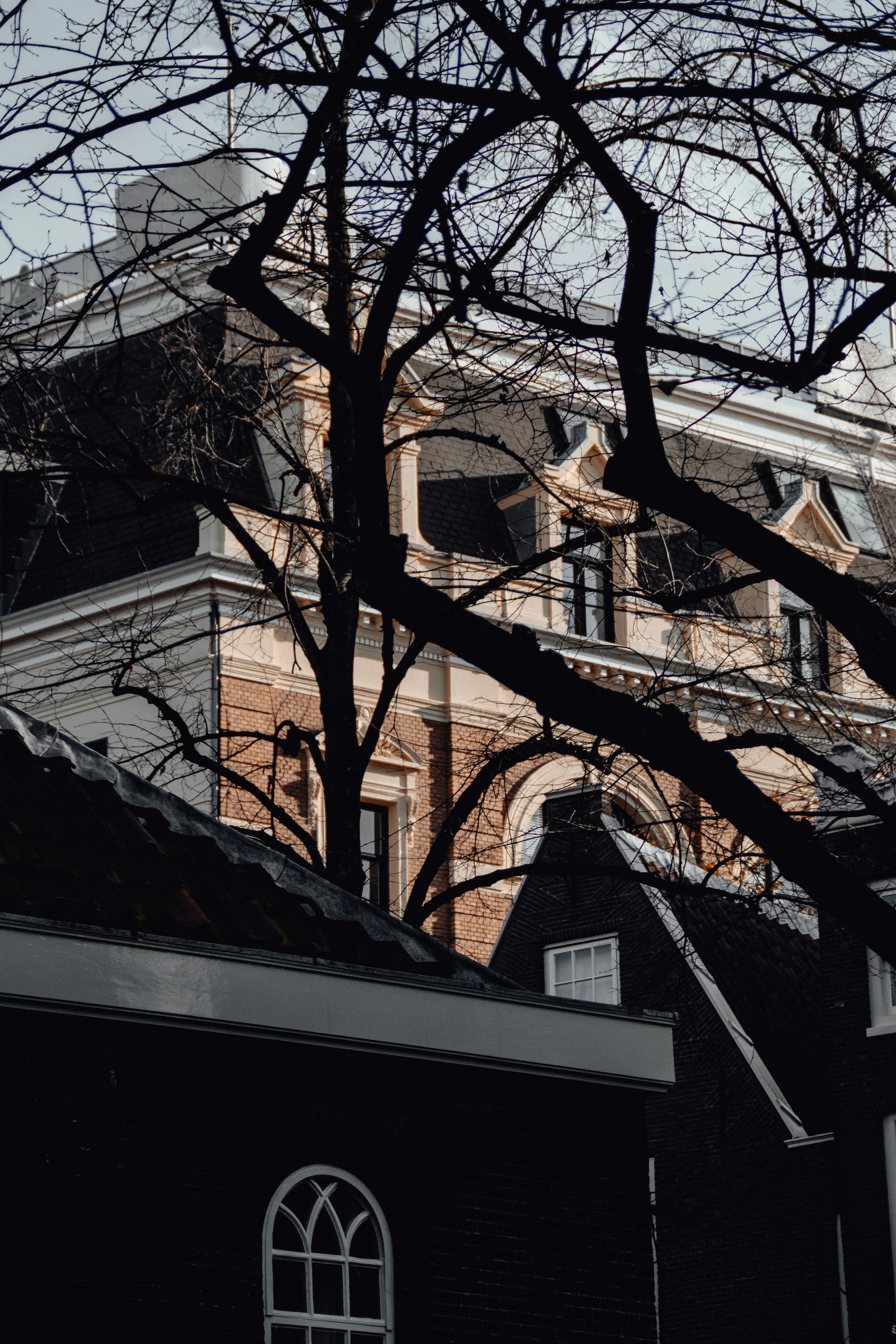 Photo by ilnevischio