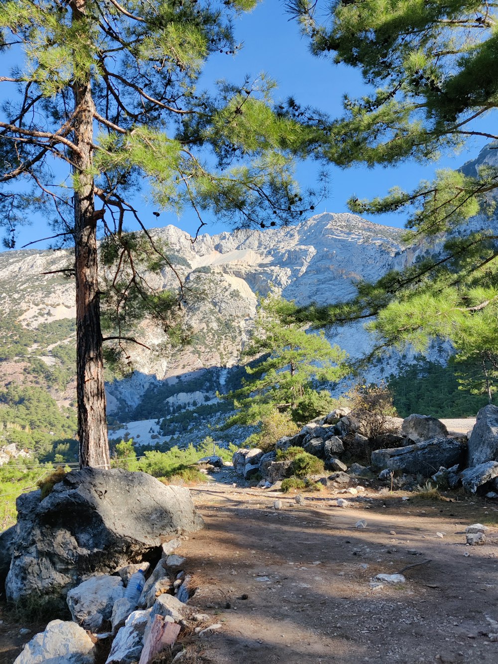 a view of a mountain range from a trail