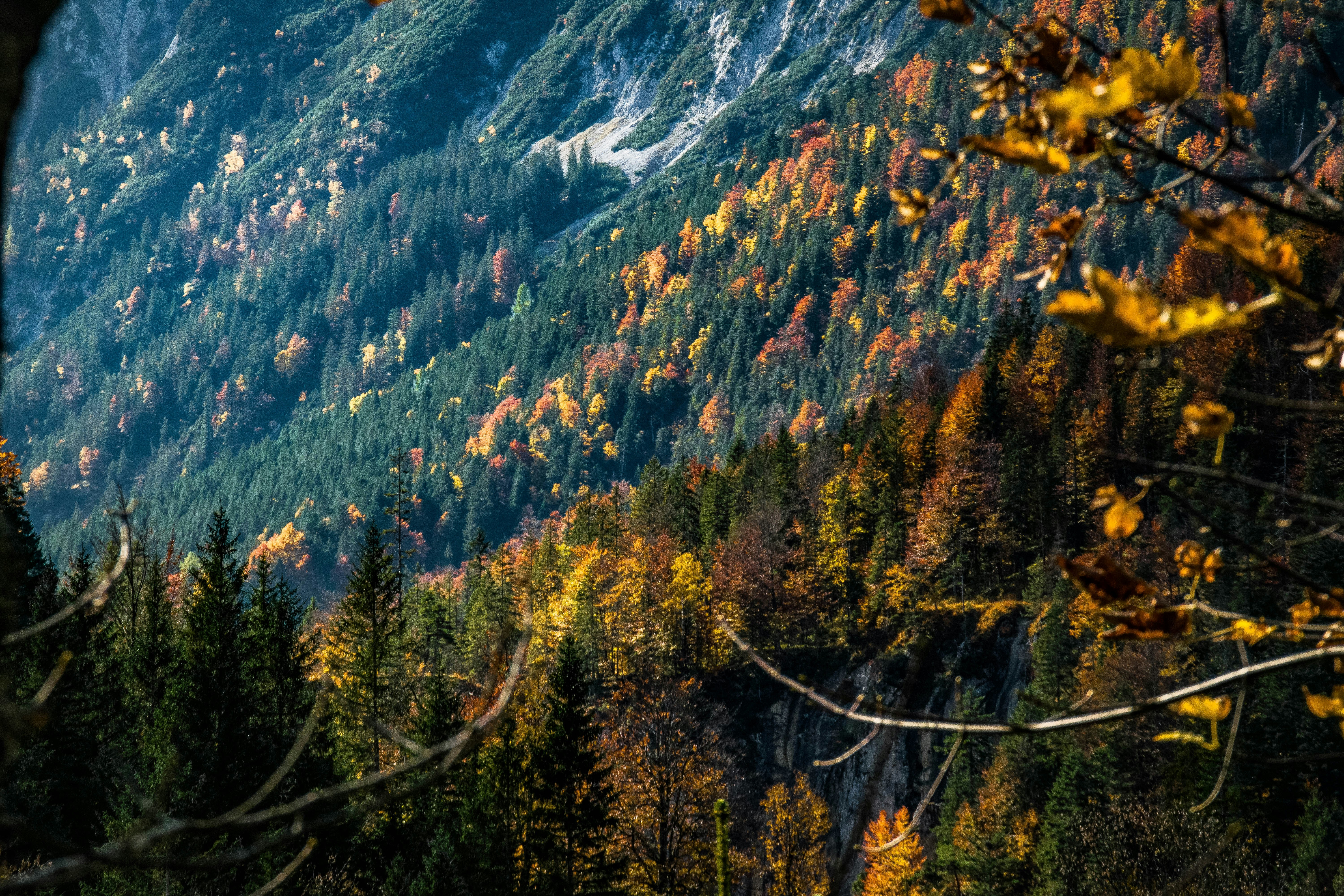 Image by Tim  Dennert via Unsplash