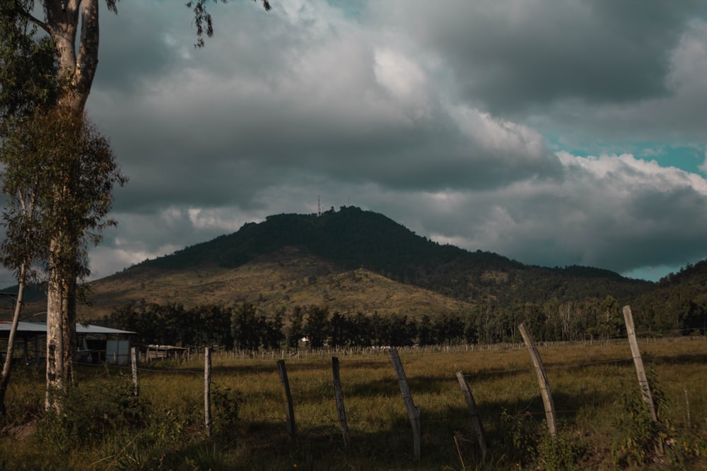 a field with a fence and a mountain in the background