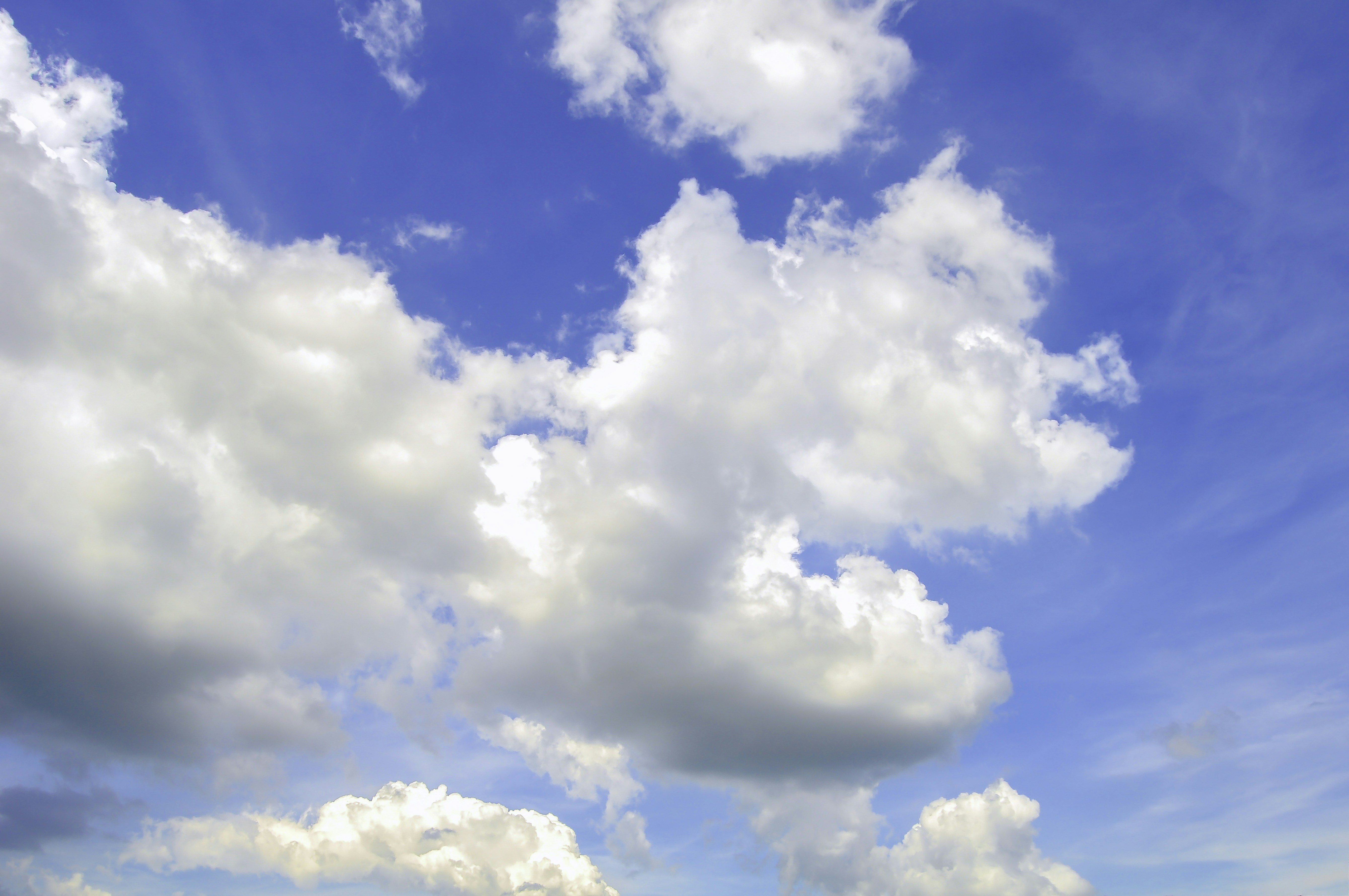 Photo by thom_oxford