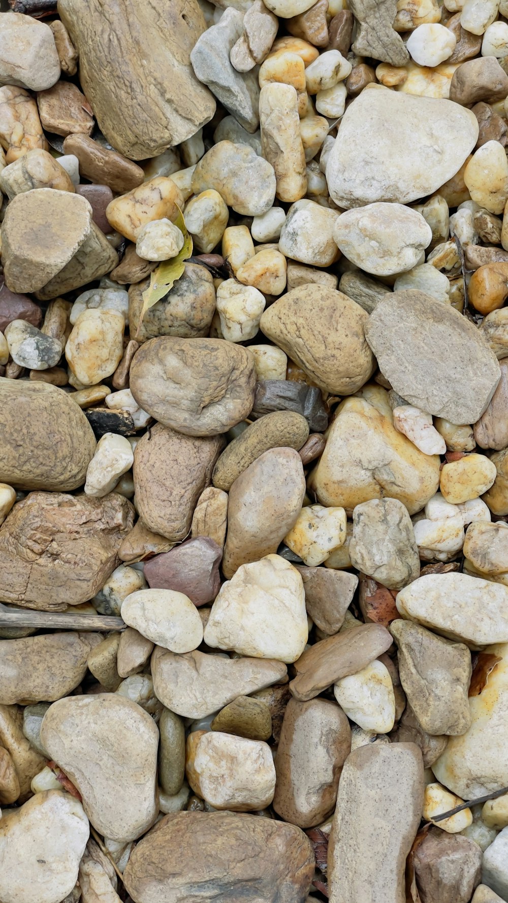 a bunch of rocks that are laying on the ground