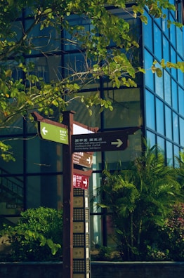 A street sign with multiple directional arrows in different languages stands amidst lush green foliage. The background features a modern building with reflective glass windows. Sunlight highlights the vibrant greens of the plants surrounding the sign.