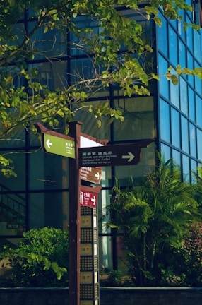 A street sign with multiple directional arrows in different languages stands amidst lush green foliage. The background features a modern building with reflective glass windows. Sunlight highlights the vibrant greens of the plants surrounding the sign.
