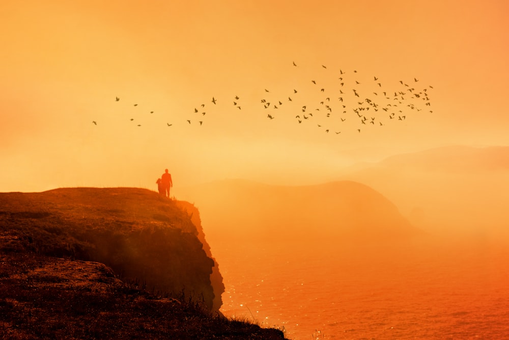 a person standing on a cliff overlooking a body of water