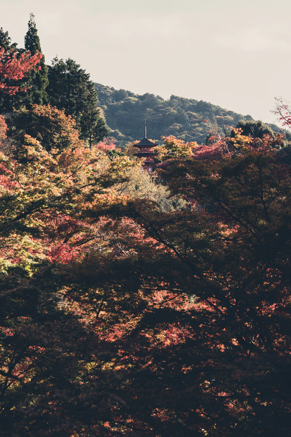 Higashiyama Kyoto stone path temple lanterns