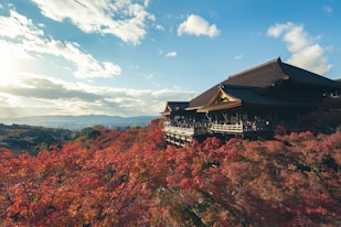 a building on top of a hill surrounded by trees